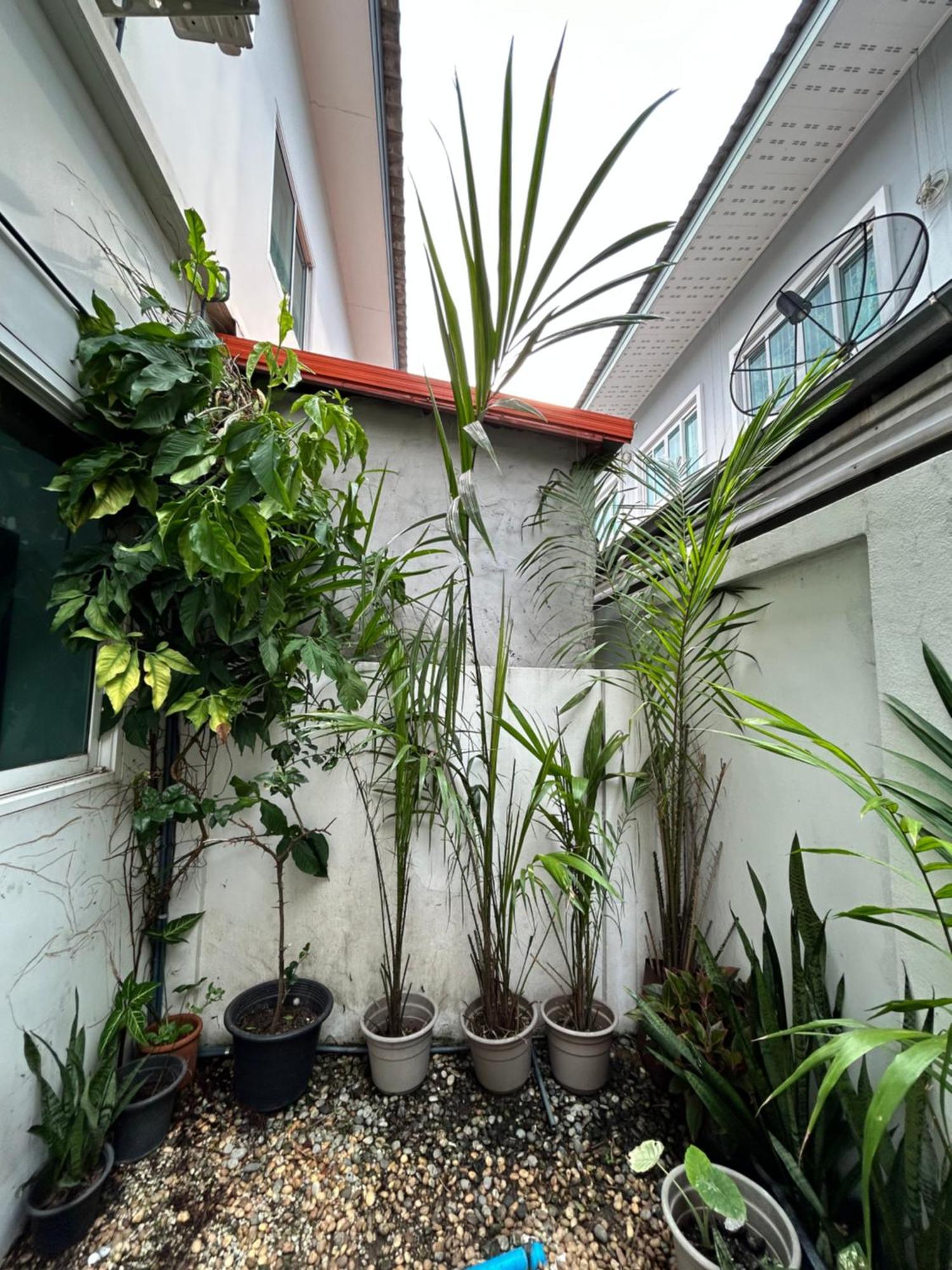 ไนซ์สเตย์ เฮาส์ แอทคลองสาม รังสิต คลองหลวง ปทุมธานี Nice Stay House At Khlong Sam - Rangsit - Khlong Luang - Phathumthani 外观 照片